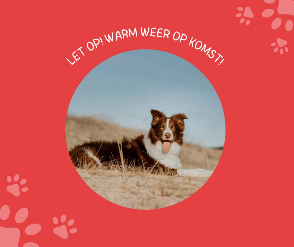 warm weer