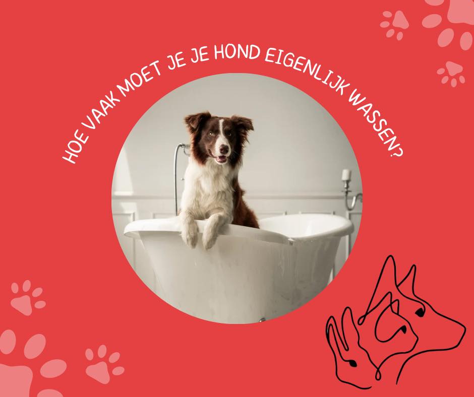 wassen
